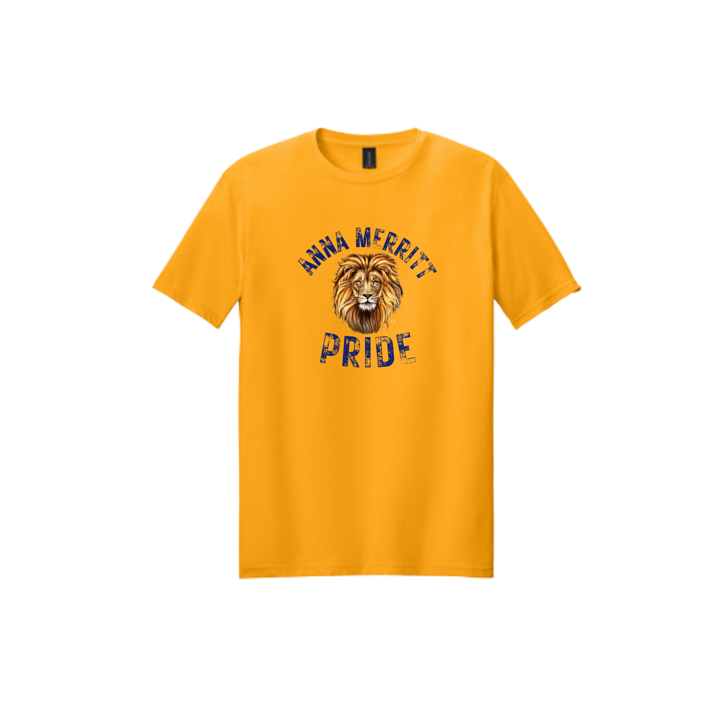 Anna Merritt Pride Tshirt Fundraiser