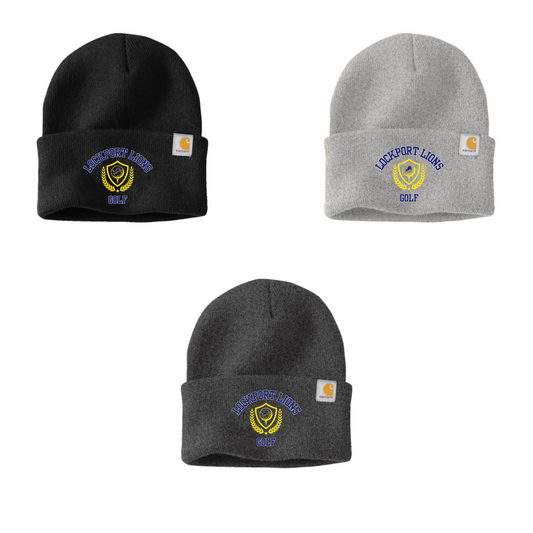Carhartt Winter Hat