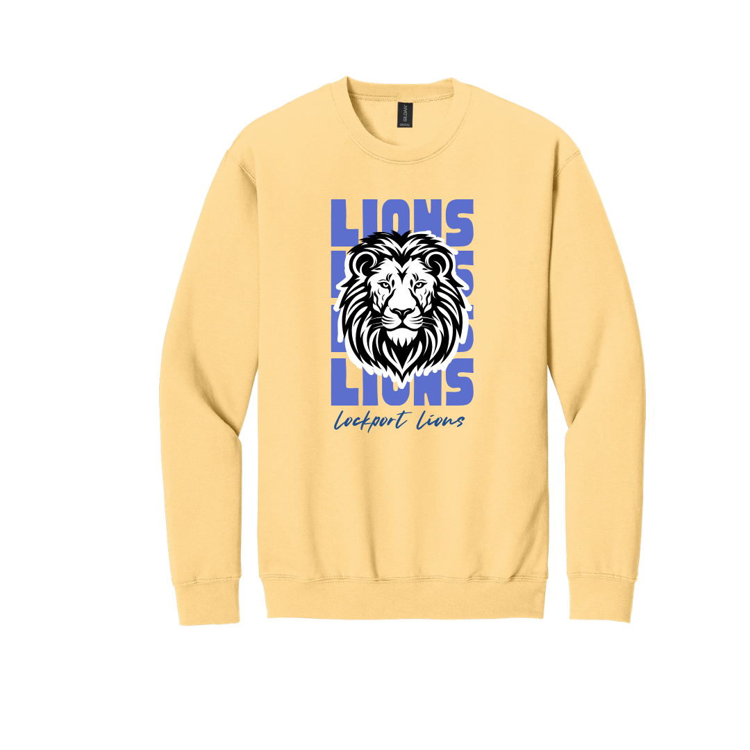 Junior Fundraiser -LHS - Lions Lions Lions