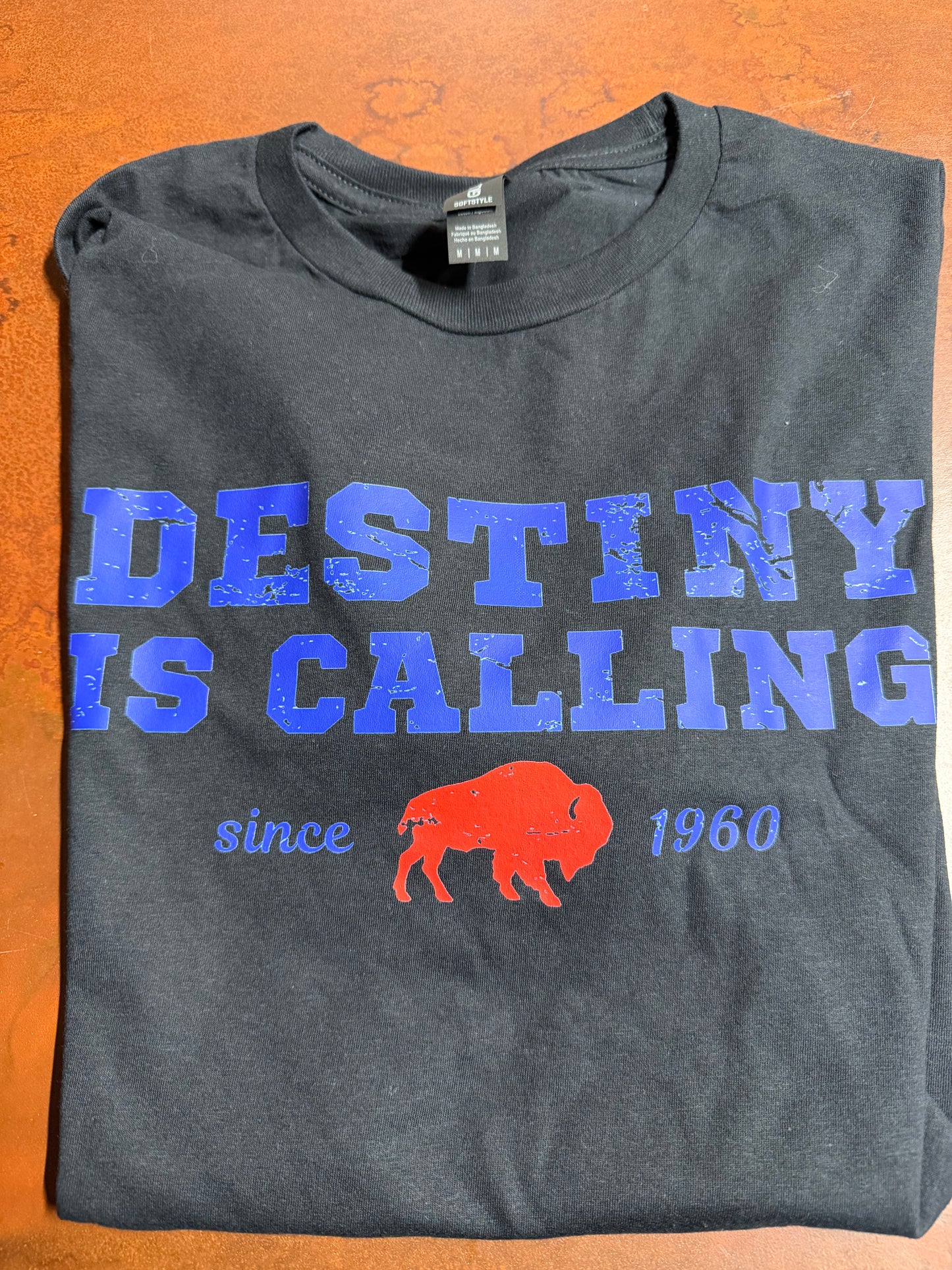 Destiny is Calling Short Sleeve